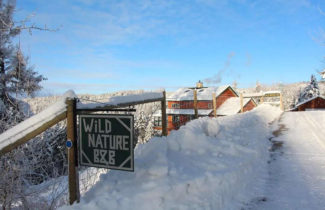 Wild Nature B&B-1