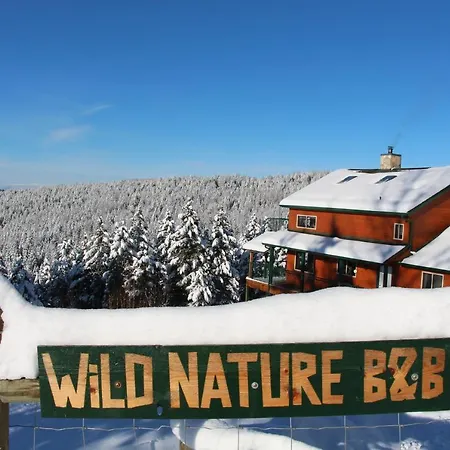 Wild Nature B&B-2